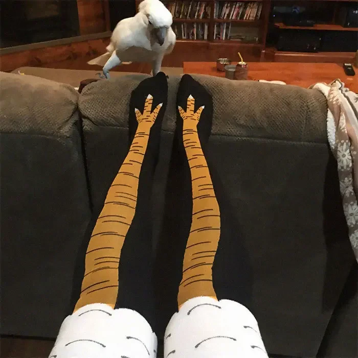 40Pairs 3D Funny Chicken Claw  - огляд і ціна Funny Chicken Leg Socks