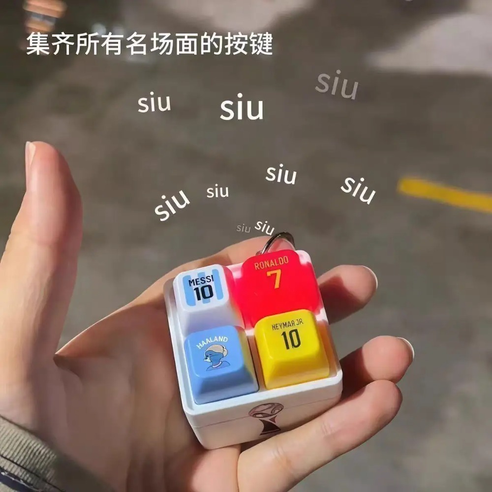 Haaland Fun Button Keychain So - огляд і ціна Prank Toys